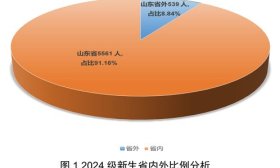 山東航空學院2024年新生大數據來了，582名新生來自濰坊
