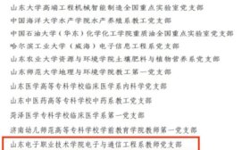 山东电院入选全国高校“双带头人”专项行动团队