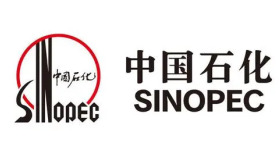 中国石油化工集团有限公司2024年专项招聘全球高层次人才“三新”领域人才公告
