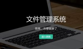 一款基于Web的文件管理系统，支持权限管理、历史版本管理、Office预览/编辑、WPS预览/编辑、在线解压缩、文件分享等