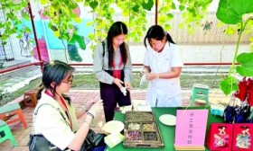 台湾青年暑期到大陆实习体验、研学参观——青春的共鸣跨越海峡