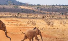 迁移 Oracle 到 PostgreSQL 最好用的工具，没有之一！