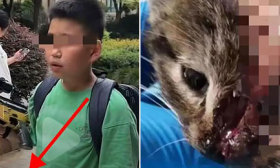 小学生手持弓弩虐猫，称“以杀猫为傲 ”！其母：尊重孩子爱好