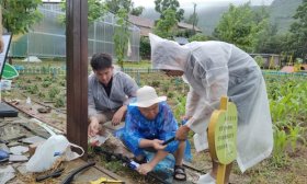 将青春写在祖国大地｜山东交通职业学院为新泰农村建自动灌溉样板