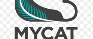MyCat安装配置,及数据分片