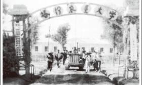 新疆大漠里“长”出知识“绿洲”