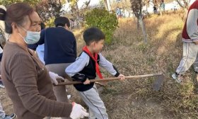 劳育花开，幸福满园丨济南高新区景汇小学开展劳动教育实践活动