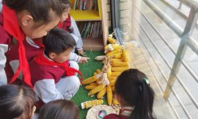 济南高新区景汇小学开展“世界粮食日”主题宣传活动