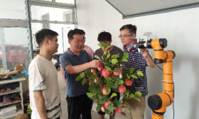 潍坊学院12个博士搞科研，要把机器人“种”在土地上