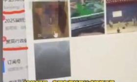 6名教师偷拍女学生裙底、开黄腔，聊天曝光，内容露骨