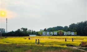 焕发乡村经济活力，乡村规划师大有可为