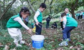 浙江诸暨：研学游激发古村新活力