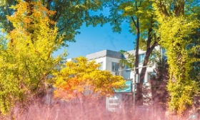 秋日限定！大学校园“氛围大片”上新……