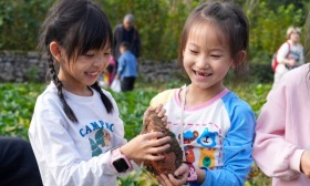 重庆北碚：乡村研学火热 助力乡村振兴