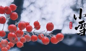 小雪至，冬韵悄生