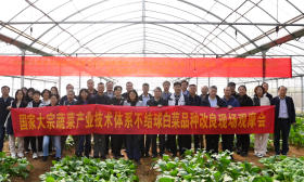 20多种小白菜接受水煮“盲评”，全国农林专家齐聚南京就为了它