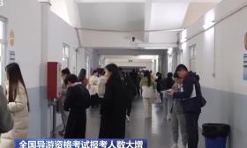 31万人报考，导游证好考吗？一文了解关于导游的那些事儿