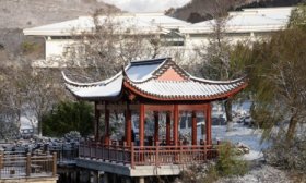 高清实拍！在烟台，遇到三所高校的第一场雪