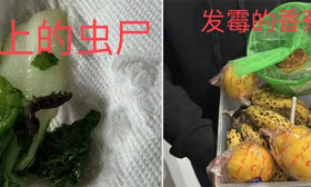上海知名民办学校食堂吃出蜗牛、调料发霉？有家长当场呕吐