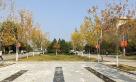 寻找山东最美大学|泰山学院陈劭炜：《秋色校园》