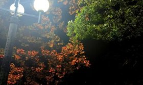 寻找山东最美大学|泰山学院牛方硕：《交叠》