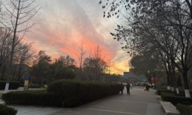 寻找山东最美大学|山东城市建设职业学院王国政：《空与泉》