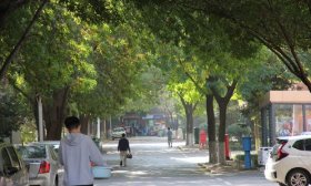 寻找山东最美大学|山东大学李国菊：《青春的小道》