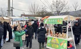 春节晚会、村乒联赛，三河2025年元旦和两节将举办百余项活动