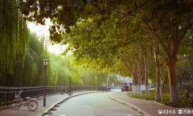寻找山东最美大学|济南大学苗耿荣：《寻常而不寻常的秋日》