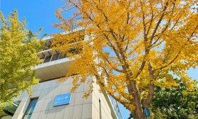 寻找山东最美大学|齐鲁工业大学孟祥龙：《工大浪漫之秋》