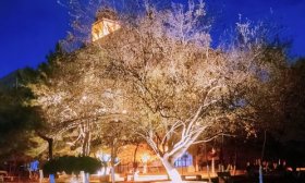 寻找山东最美大学|济南大学张韶涵：《并肩》