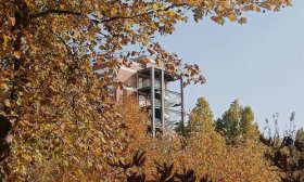 寻找山东最美大学|泰山学院王海森：《院中小景》