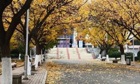 寻找山东最美大学|山东政法学院房晨曦：《仲冬霜月，岁末暮秋》