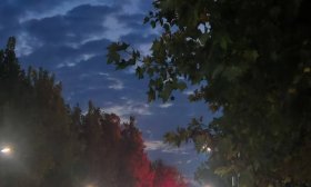 寻找山东最美大学|泰山学院王俐苏：《夜幕下的光影漫步》