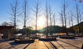 寻找山东最美大学|山东城市建设职业学院李思含：《微光》