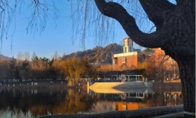 寻找山东最美大学|山东科技大学王艳婷：《午后一隅》