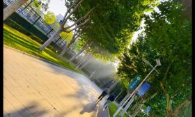 寻找山东最美大学|泰山学院刘子硕：《绿意浓，泰院韵》