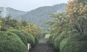 寻找山东最美大学|泰山学院马静：《石阶之秘》
