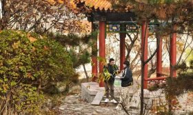 寻找山东最美大学|泰山学院罗正佳：《树中“数”》