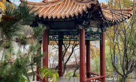 寻找山东最美大学|泰山学院王仪琳：《亭者，停也》