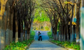 寻找山东最美大学|山东现代学院薛凯：勤劳的奋斗者-每一劳动