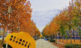 寻找山东最美大学|泰山学院李子杰：《秋之小径》