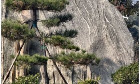 寻找山东最美大学|泰山学院桂嘉慧：《泰院里的松韵》