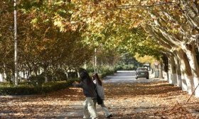 寻找山东最美大学|山东科技大学袁东鑫：《秋色大道》
