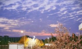 寻找山东最美大学|泰山学院邵静静：《暮云紫韵》