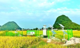科技吹“新”风 田野绘“丰”景——贵州贵阳探索智慧农业发展新路径