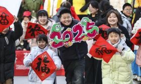 艺展游园迎新年，共度佳节情谊浓