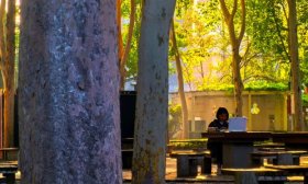 寻找山东最美大学|山东大学马学慧《小树林的美好》
