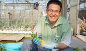 专注番茄育种，潍坊科技学院在校大学生成山东省科技特派员