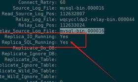 MySQL8.4.2搭建主從同步的配置【測試成功】